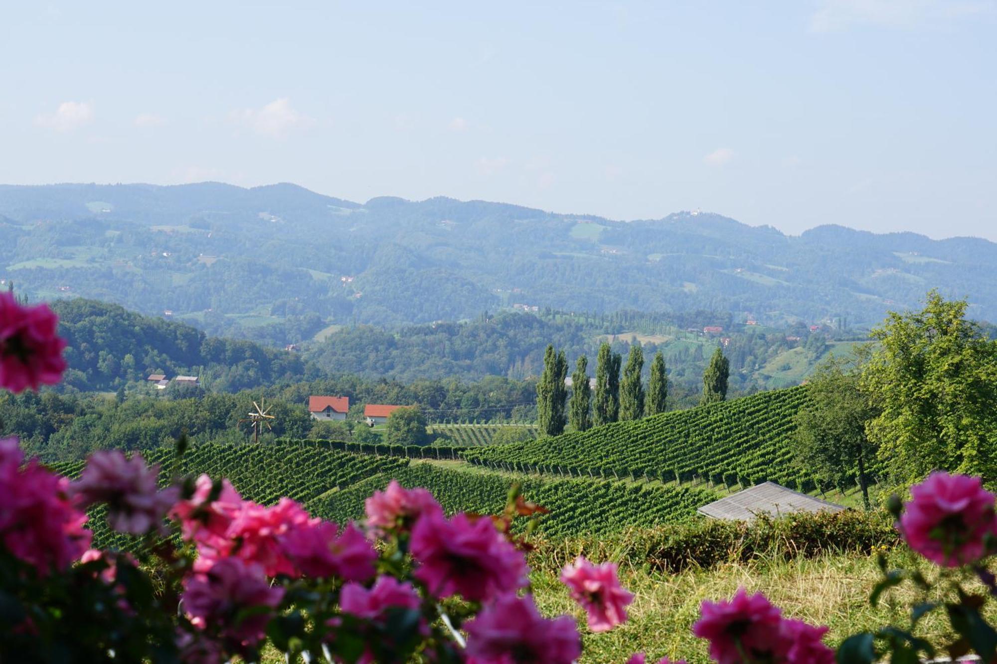 Mahorko Wein Wellness Wasserbueffel Glanz an der Weinstraße Exteriör bild