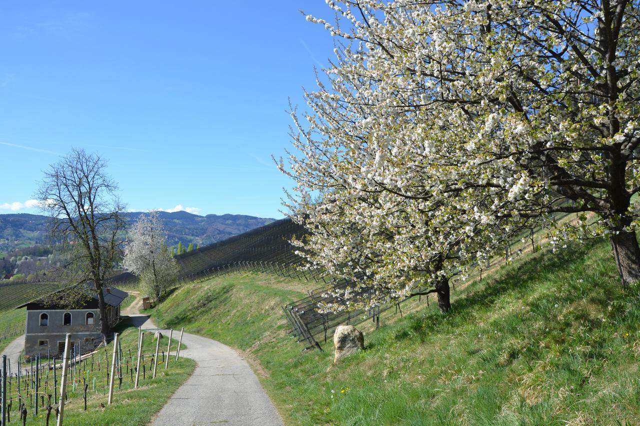 Mahorko Wein Wellness Wasserbueffel Glanz an der Weinstraße Exteriör bild